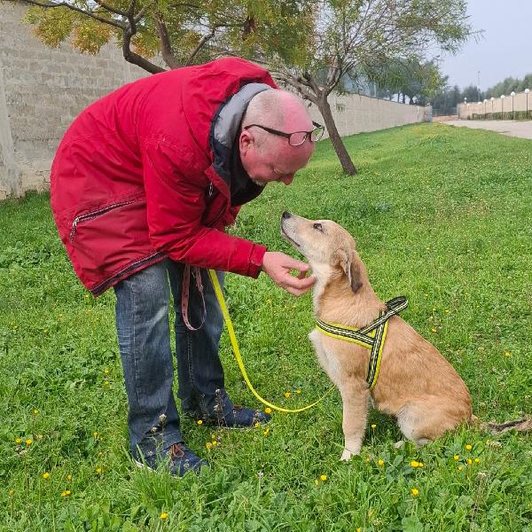 ETNA meraviglia in adozione Foto 5